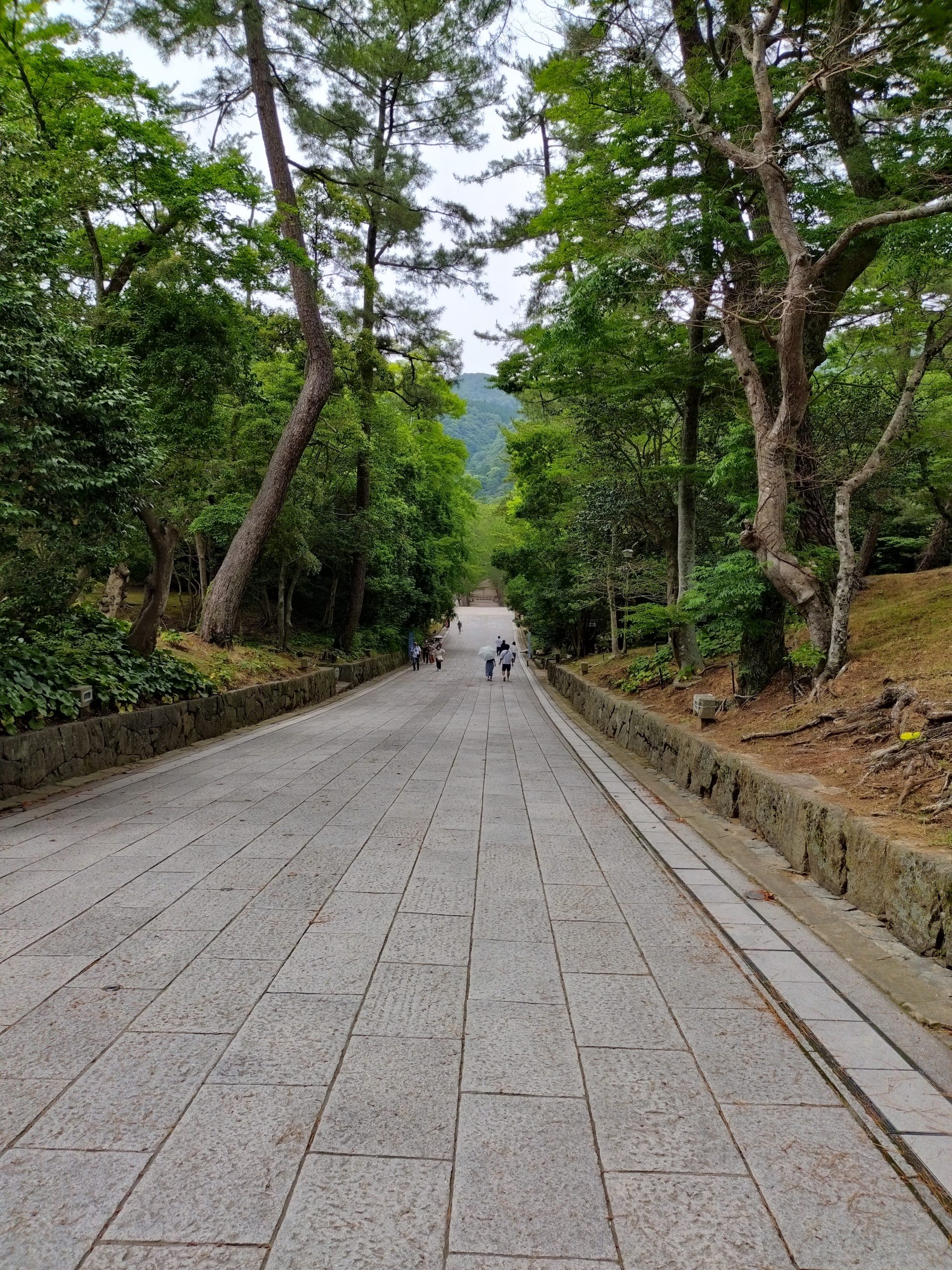 出雲大社下り参道