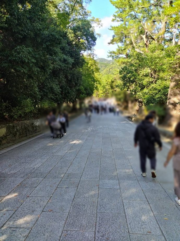 出雲大社参道